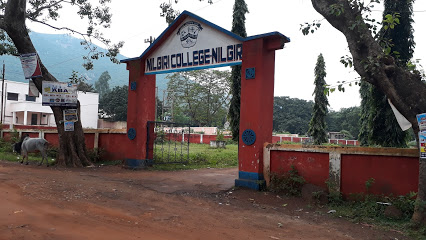 Nilagiri College Nilagiri Balasore