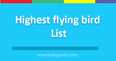 Highest flying bird list