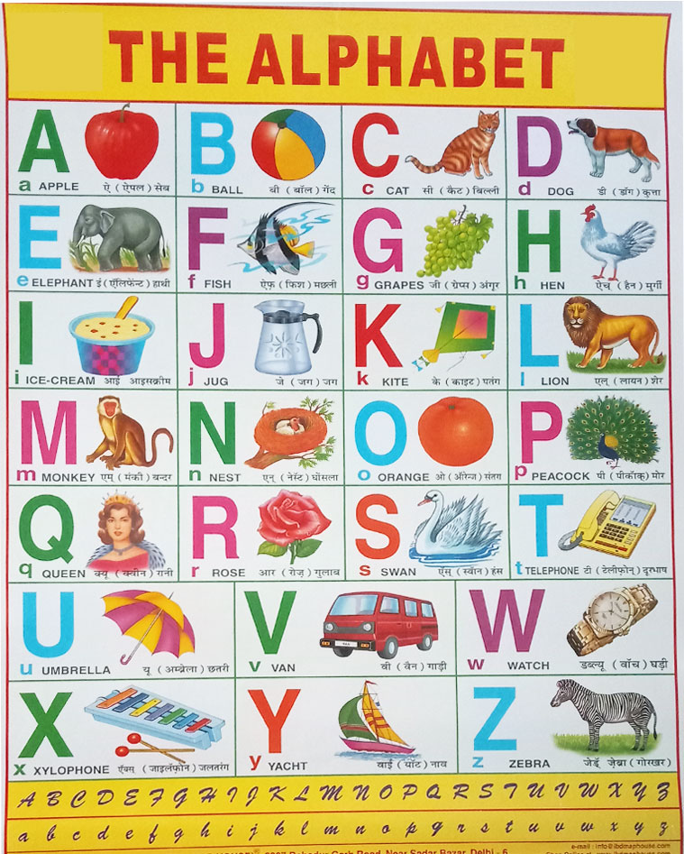 Alphabet letters with pictures | SEG