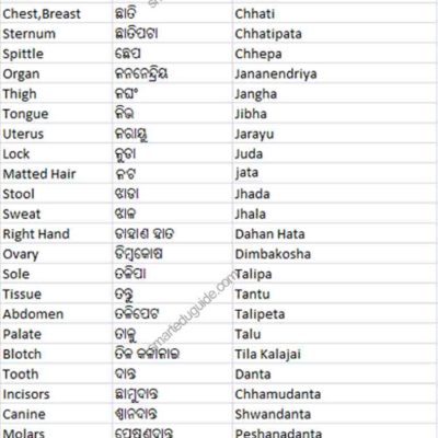 thanthali odia to english