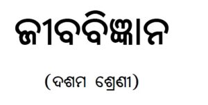 10th class political science book odia pdf