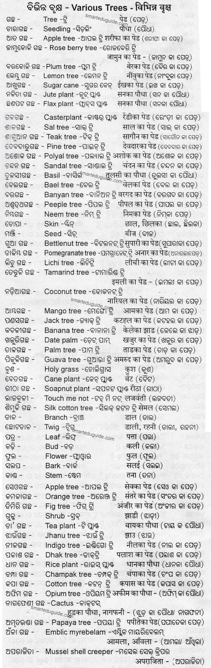 Tree Name in English to Odia