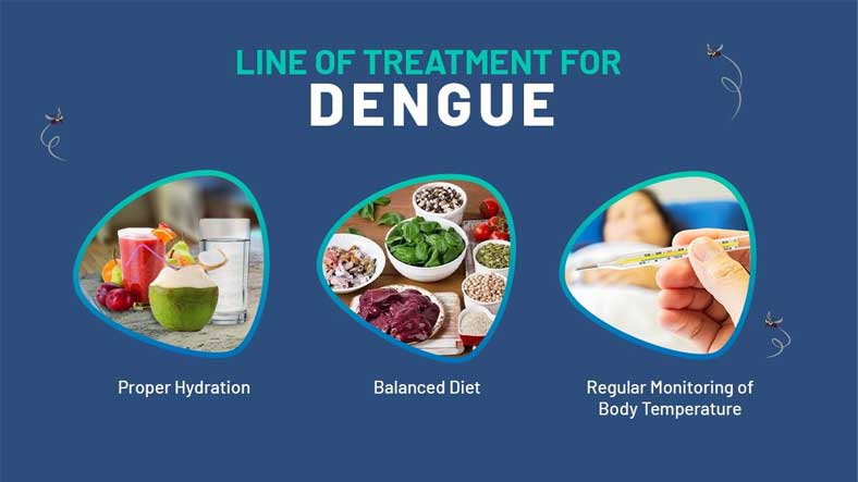 Dengue Treatment Food