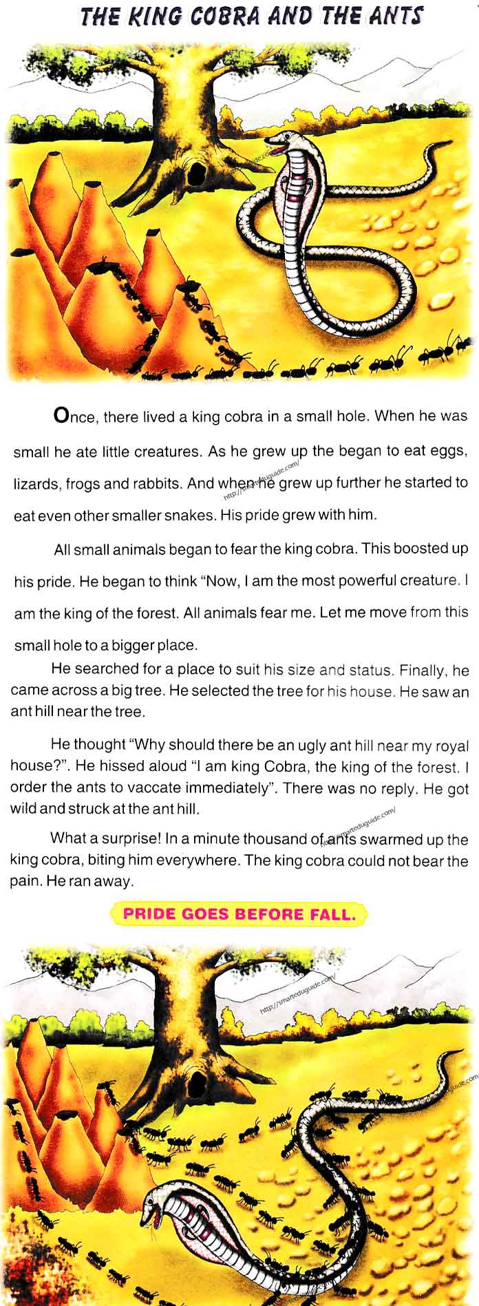 The King Cobra And The Ants Moral Story