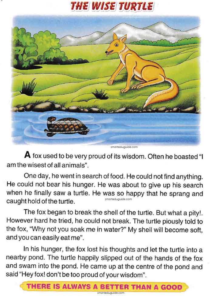 The Wise Turtle Moral Story in English