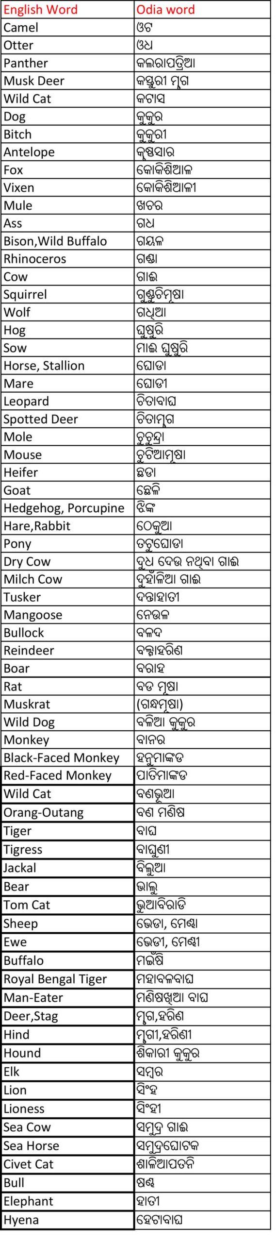 Animal Names in English and Odia