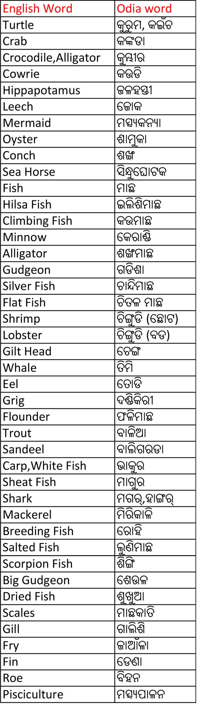 Aquatic Animals Name in English to Odia