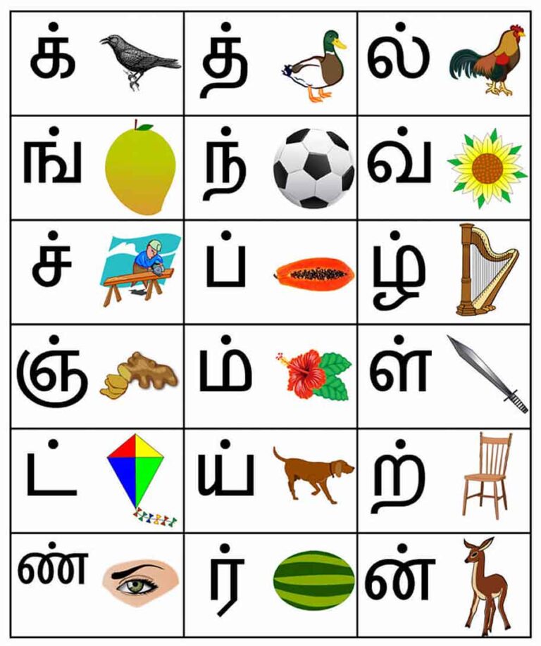 Tamil Alphabets in English Chart