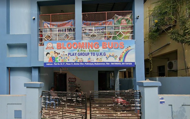 Blooming Buds A Play School Ananta